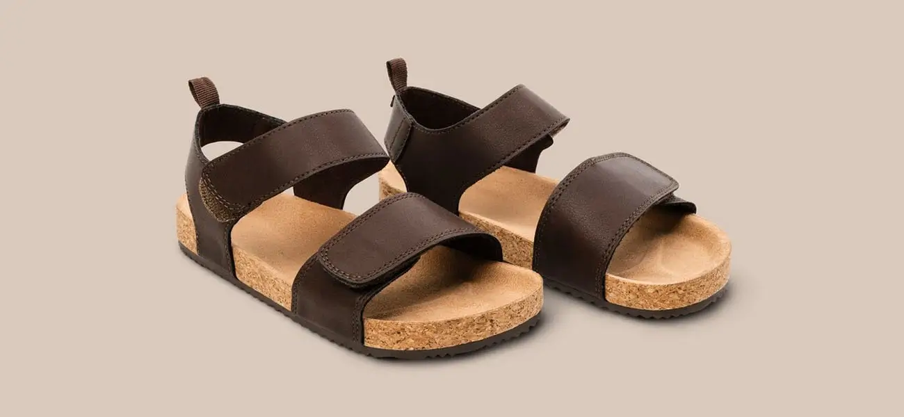 Solid Color Background